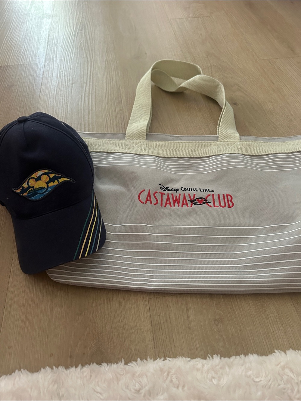 🌈 Disney Cruise Line navy baseball cap w/ tote